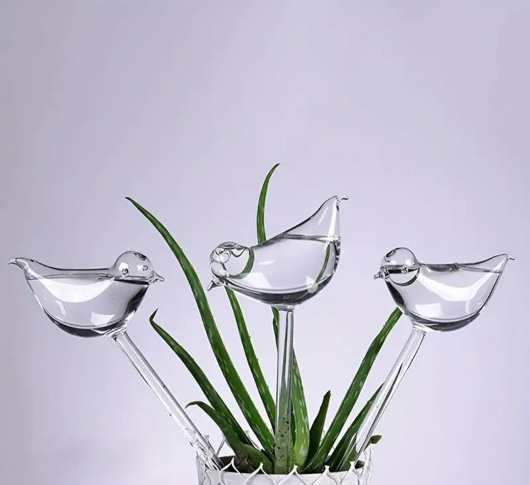 Crystal Clear Self Watering Globe- BIRD